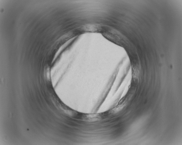 X0000068310095200605192019