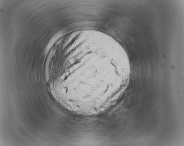 X0000068310099200605192018