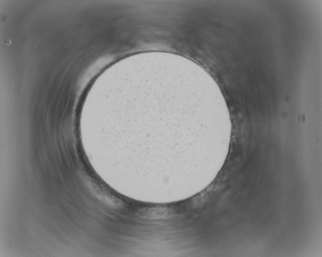 X0000068310104200605192018