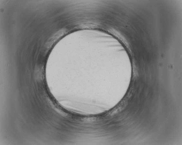 X0000068310105200605192018