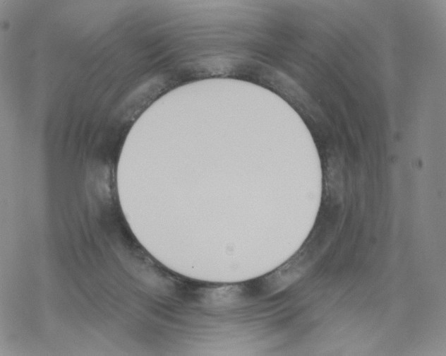 X0000068310122200605192018