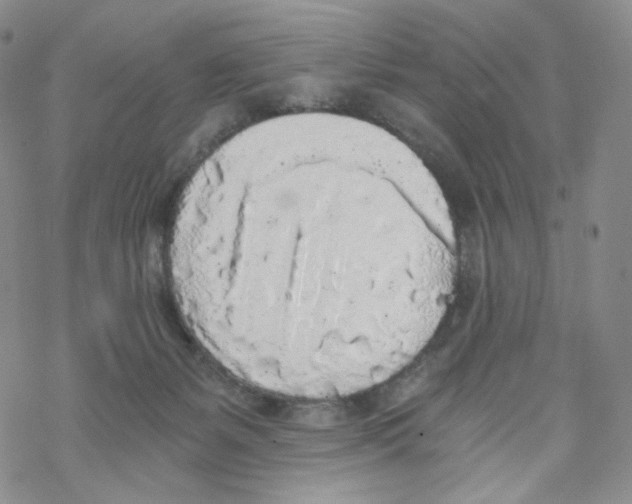 X0000068310127200605192018