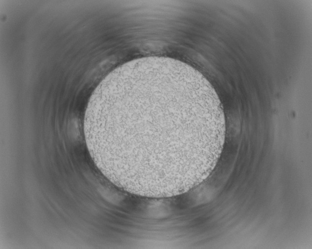 X0000068310130200605192018