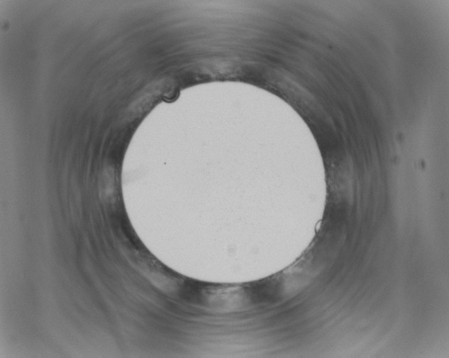 X0000068310132200605192018
