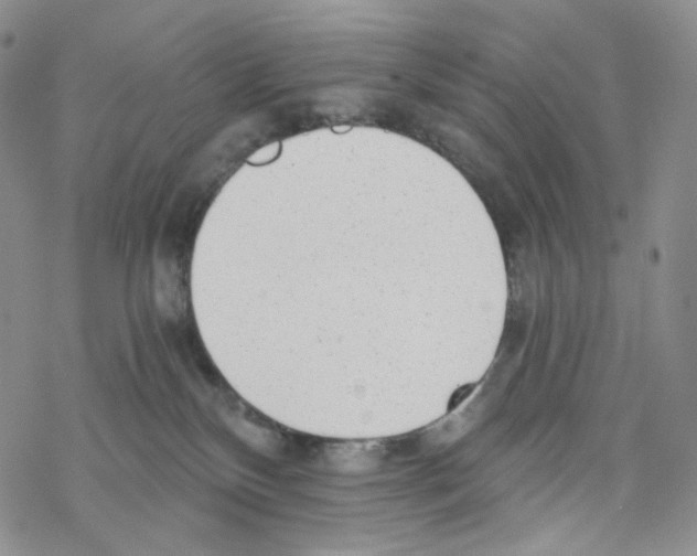 X0000068310136200605192017