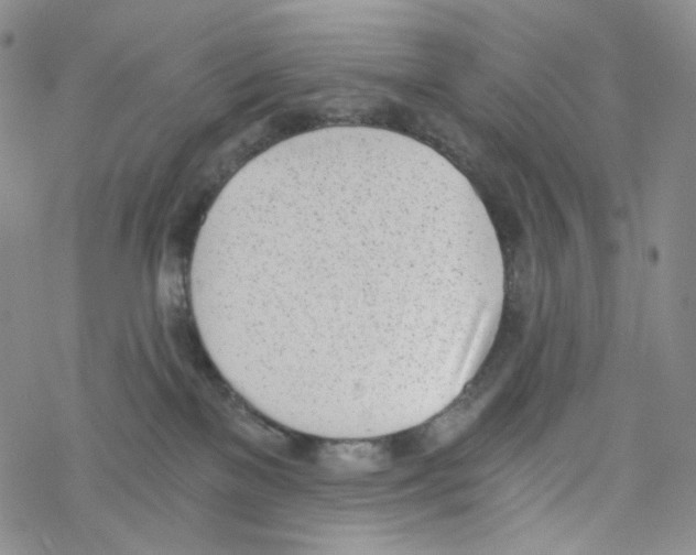 X0000068310137200605192017