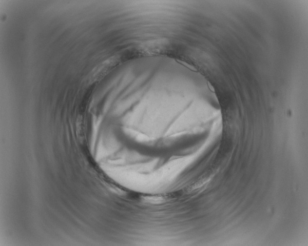 X0000068310139200605192017