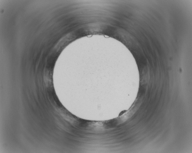 X0000068310140200605192017