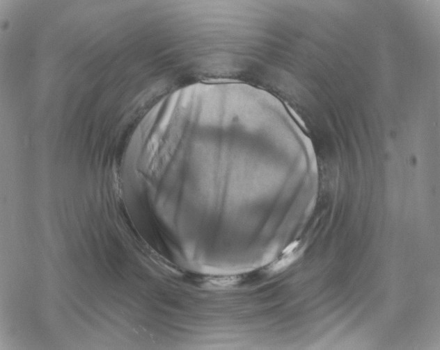 X0000068310143200605192017