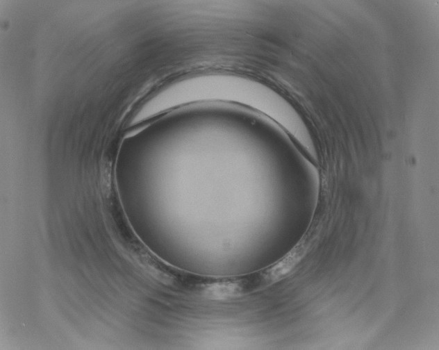 X0000068310168200605192017