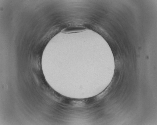 X0000068310170200605192017