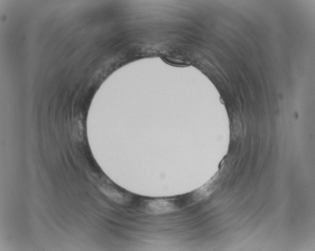 X0000068310183200605192017