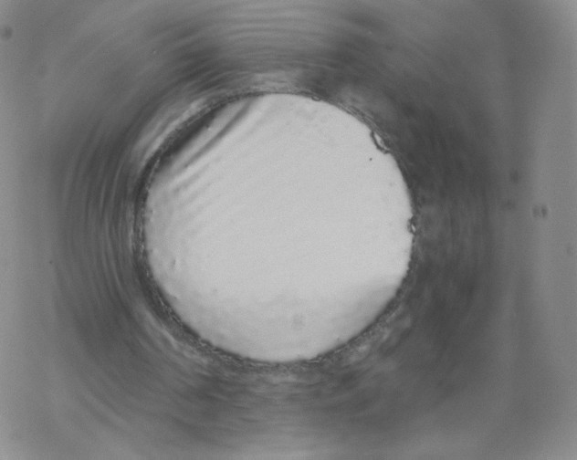 X0000068310194200605192017
