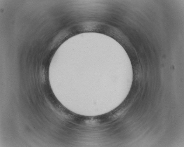 X0000068310216200605192016