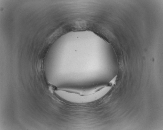 X0000068310233200605192016