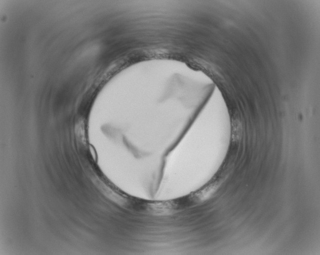 X0000068310238200605192016