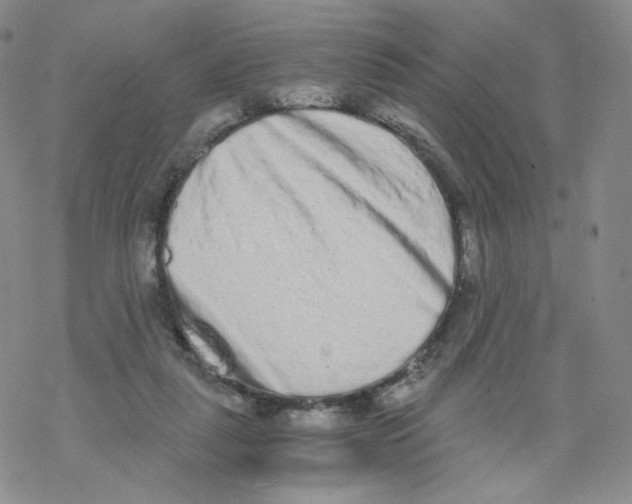 X0000068310259200605192015