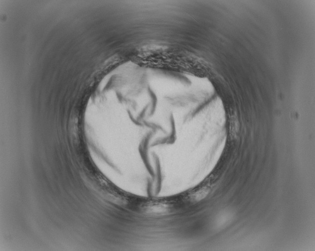 X0000068310263200605192015