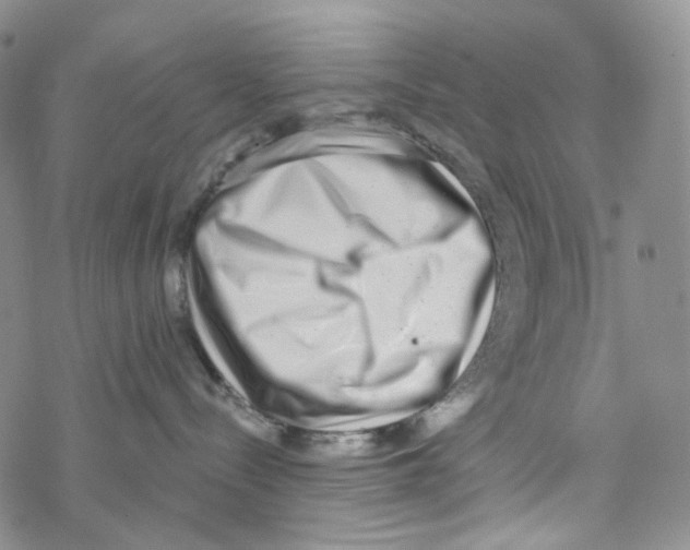 X0000068310288200605192016
