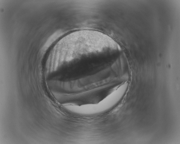 X0000068310295200605192015