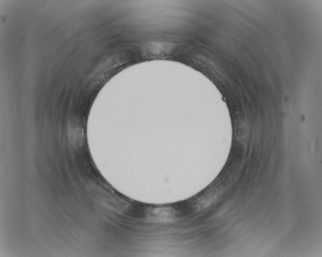X0000068310324200605192014