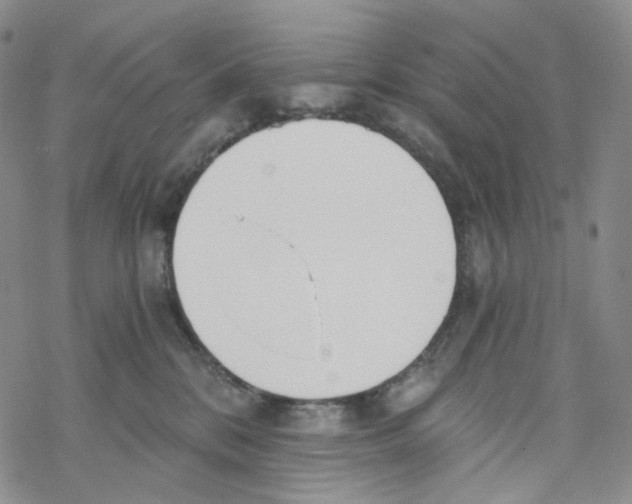 X0000068310328200605192014