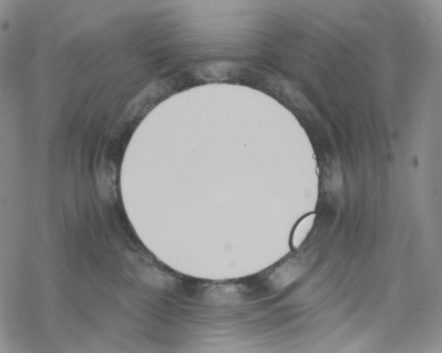 X0000068310332200605192014