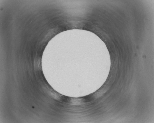 X0000068310336200605192014