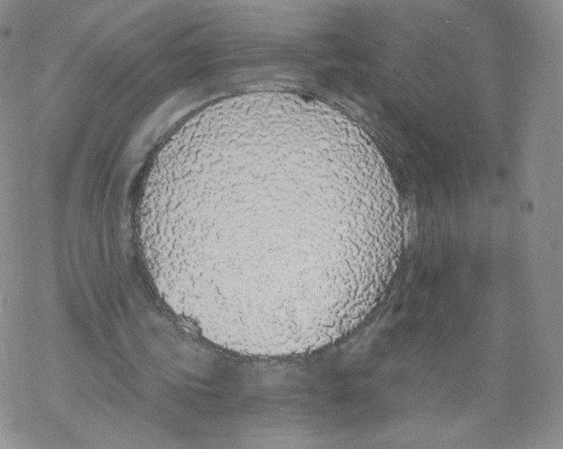 X0000068310339200605192013