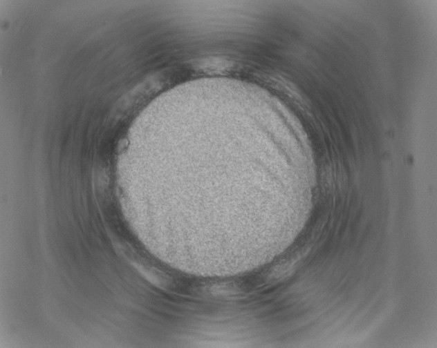X0000068310365200605192014