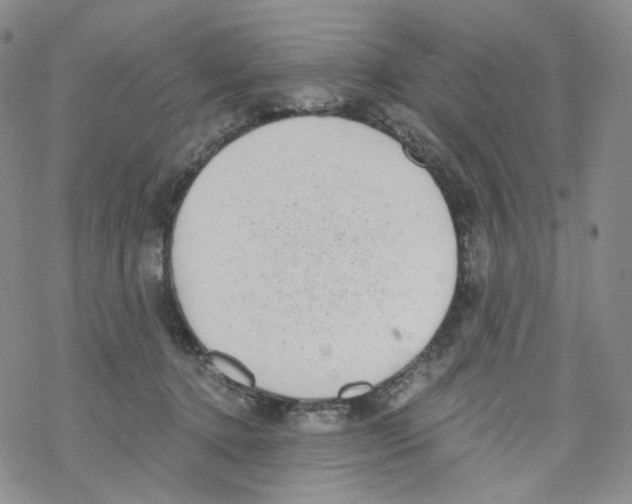 X0000068310368200605192014