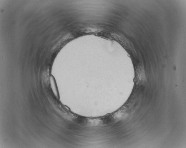 X0000068310376200605192014