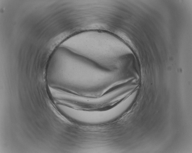 X0000068310389200605192013