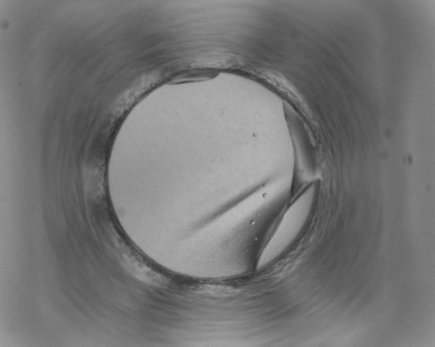 X0000068310393200605192013