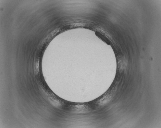 X0000068310406200605192013