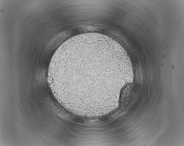 X0000068310410200605192013