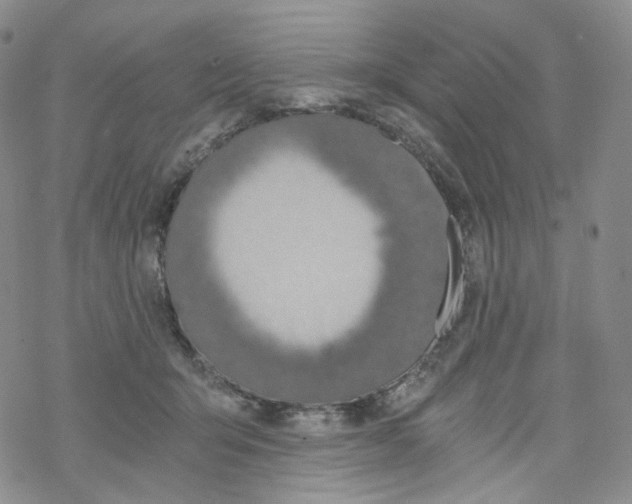 X0000068310415200605192013