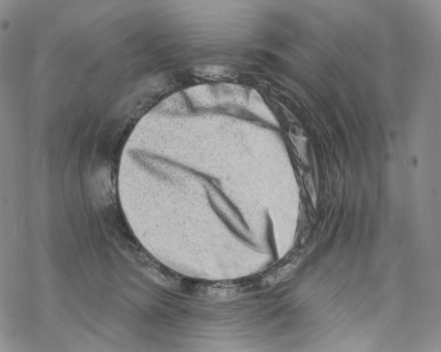 X0000068310420200605192013
