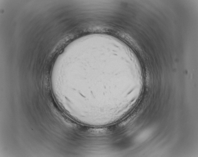 X0000068310449200605192012