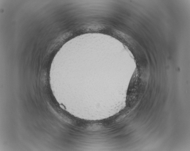 X0000068310451200605192012
