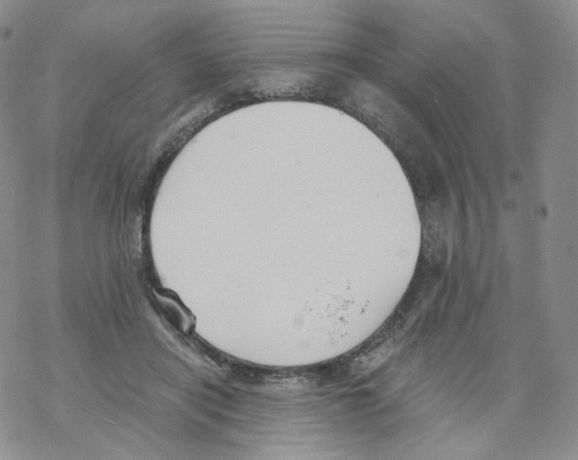 X0000068310454200605192012
