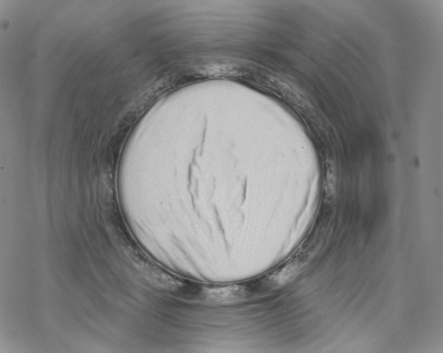 X0000068310461200605192012