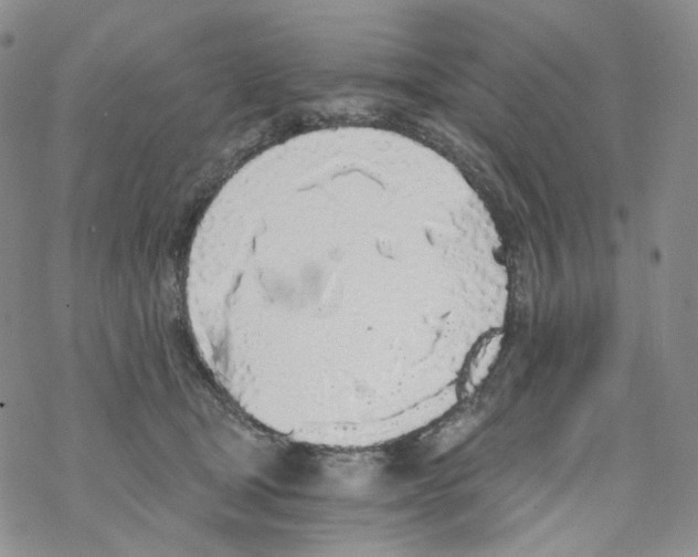 X0000068310465200605192012