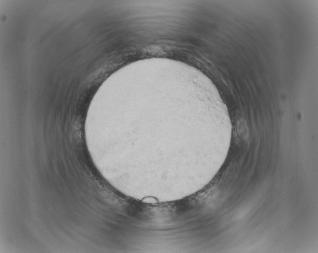 X0000068310466200605192012