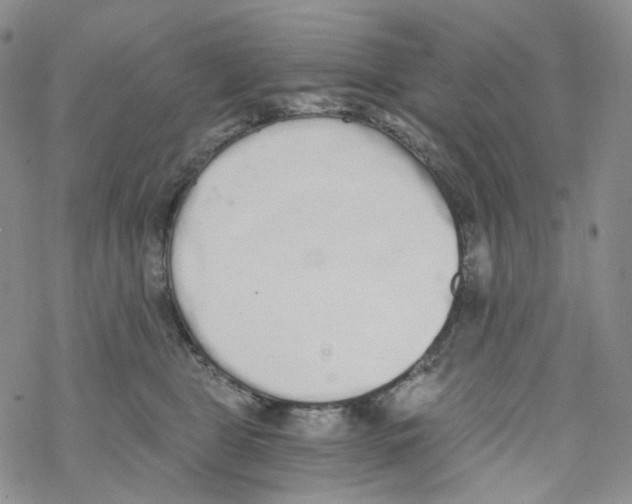 X0000068310469200605192012