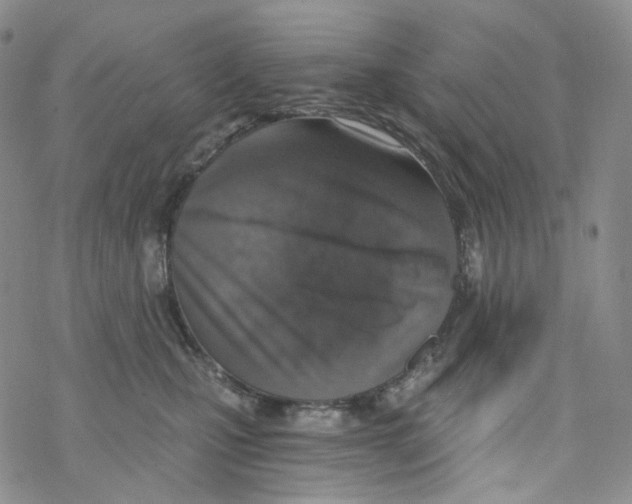 X0000068310471200605192012