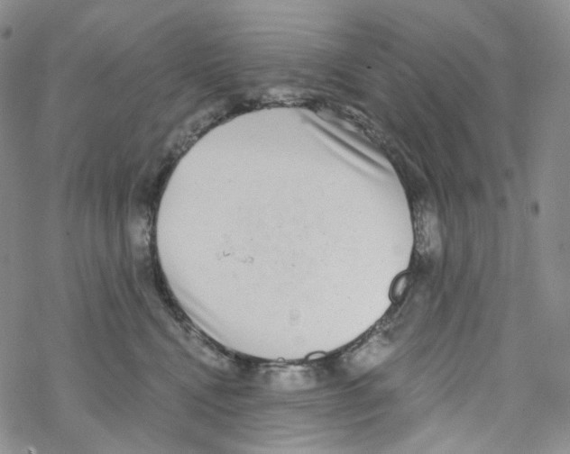 X0000068310472200605192013