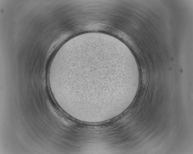 X0000068310486200605192012