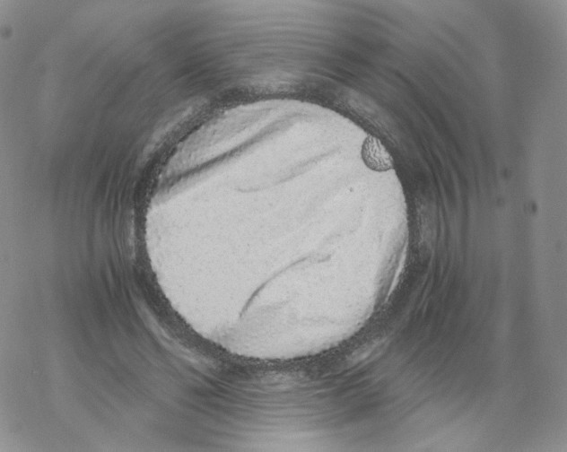 X0000068310494200605192012