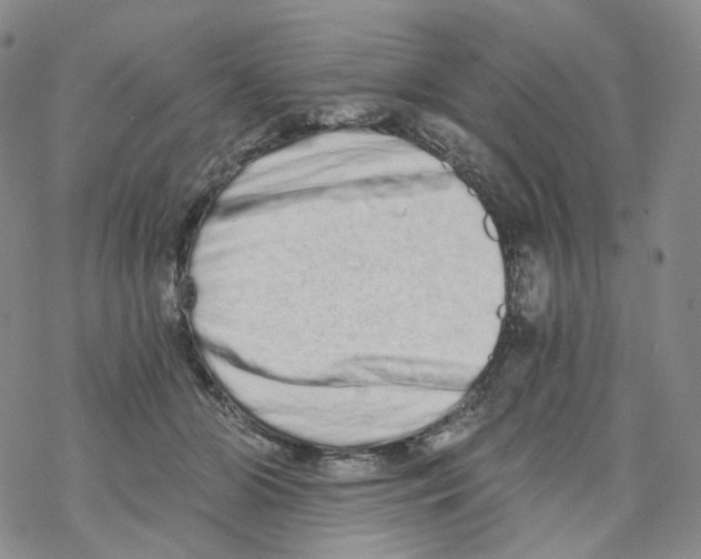 X0000068310510200605192011